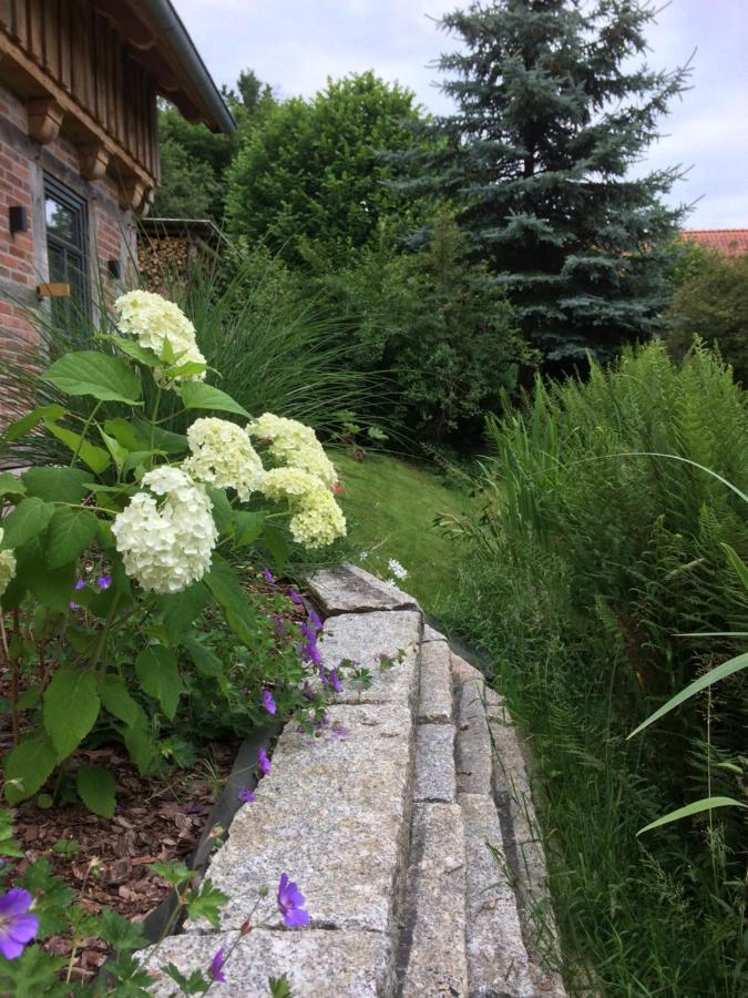 Haus Am Fischendorfer Bach Villa Bad Fallingbostel Eksteriør bilde