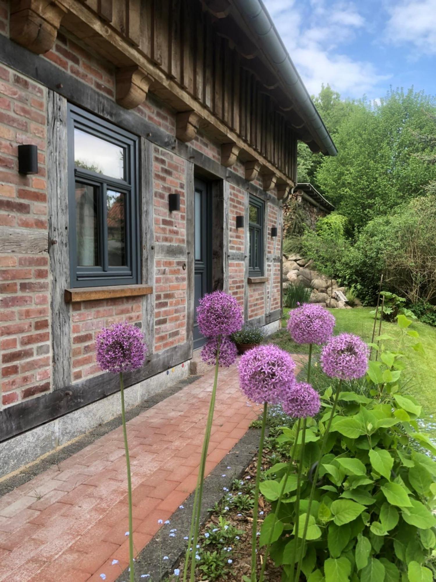 Haus Am Fischendorfer Bach Villa Bad Fallingbostel Eksteriør bilde